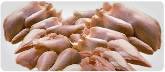Whole Chicken & Parts