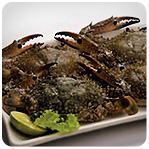 Crab