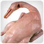Whole Duck