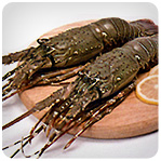 Phuket Lobster