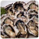 Half Shell Oyster