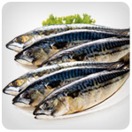 Mackerel/Saba