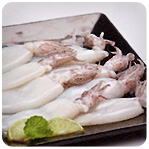 Squid