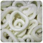 Squid Ring