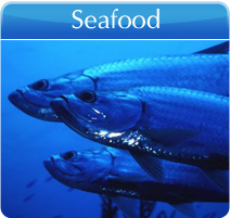 Seafood